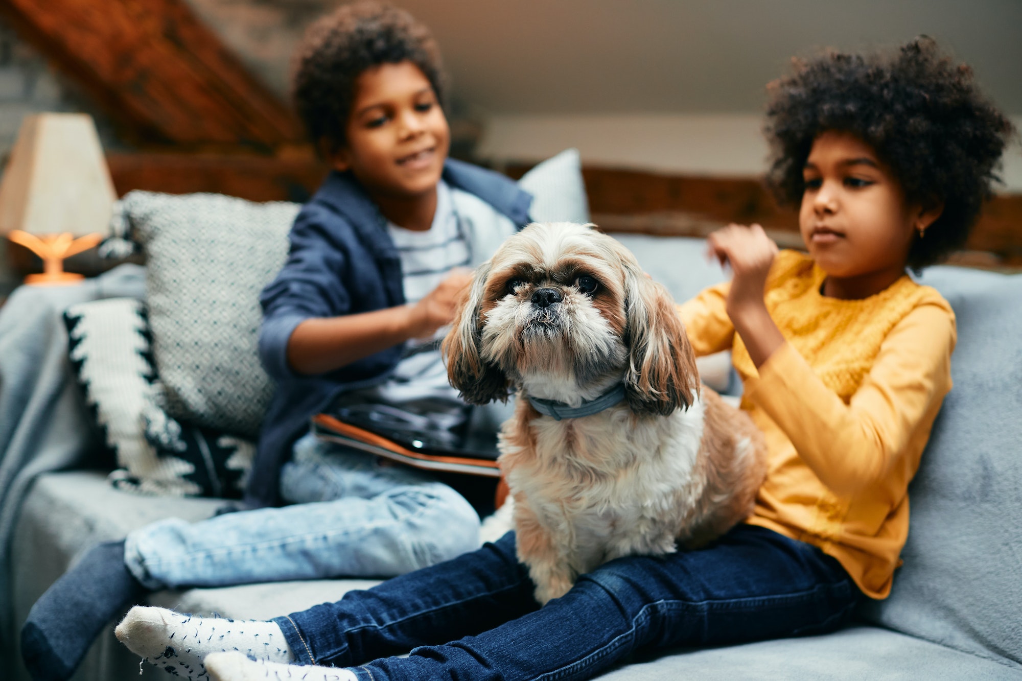 Small black kids enjoying with their dog in the living room.